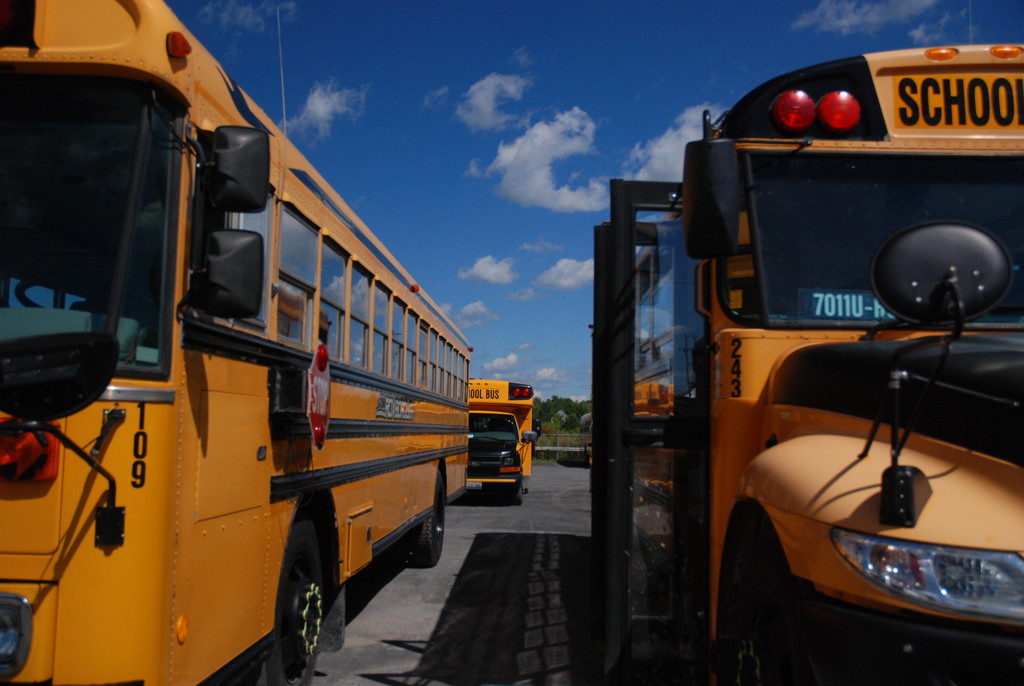 Buses by farmreporter