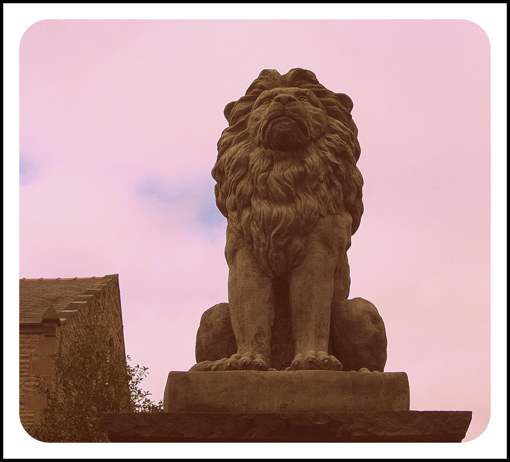 Lion guarding a gate. by grace55