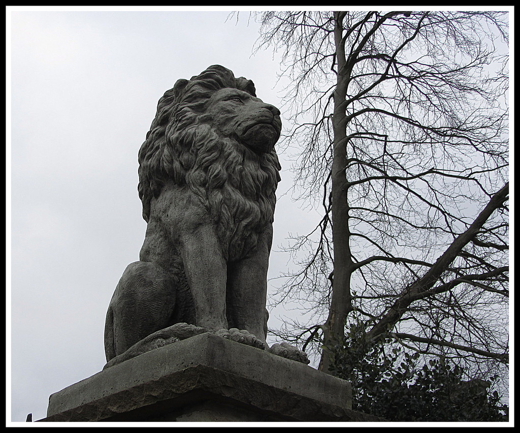 A stone lion by grace55