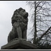A stone lion by grace55