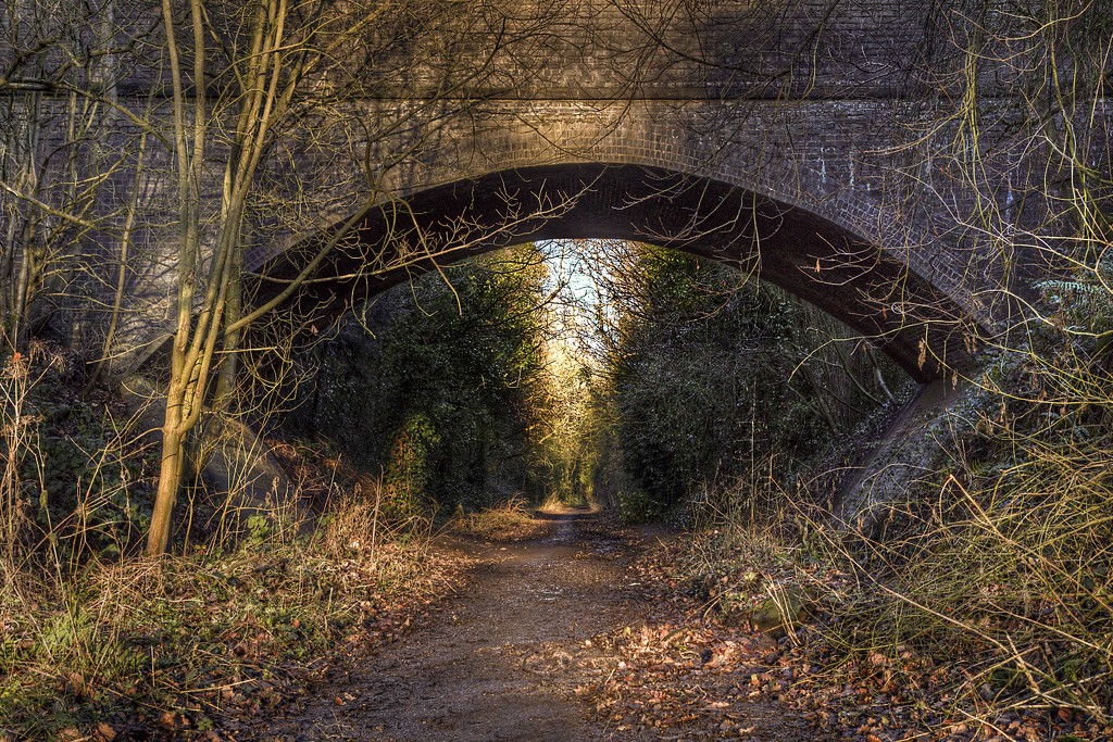 Old Railway Line. by gamelee