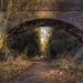 Old Railway Line. by gamelee