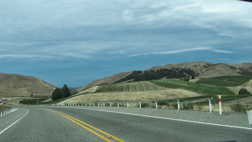 The road to Christchurch from Picton by happypat