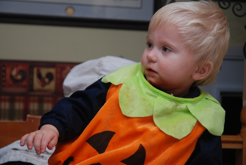 Halloween Oliver  by farmreporter
