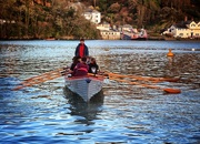 11th Mar 2016 - Gig Rowing on the Fowey River