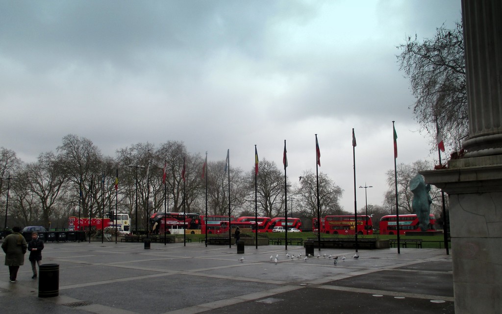 London Buses by g3xbm