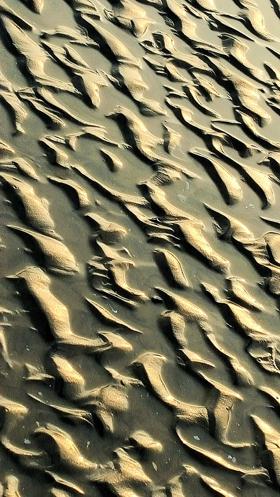 Sand Patterns by megpicatilly