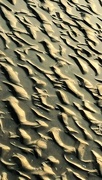 11th Mar 2016 - Sand Patterns