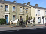 18th Feb 2016 - Horses and a carriage.