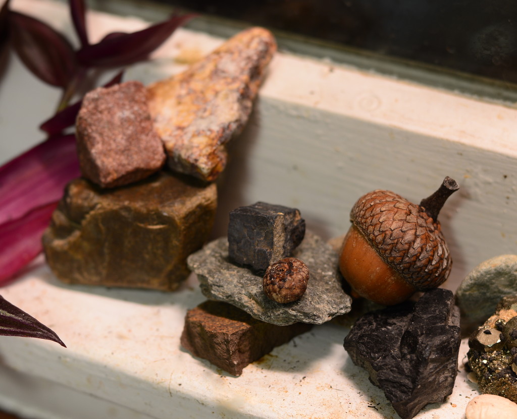 Cairns and Acorns by francoise