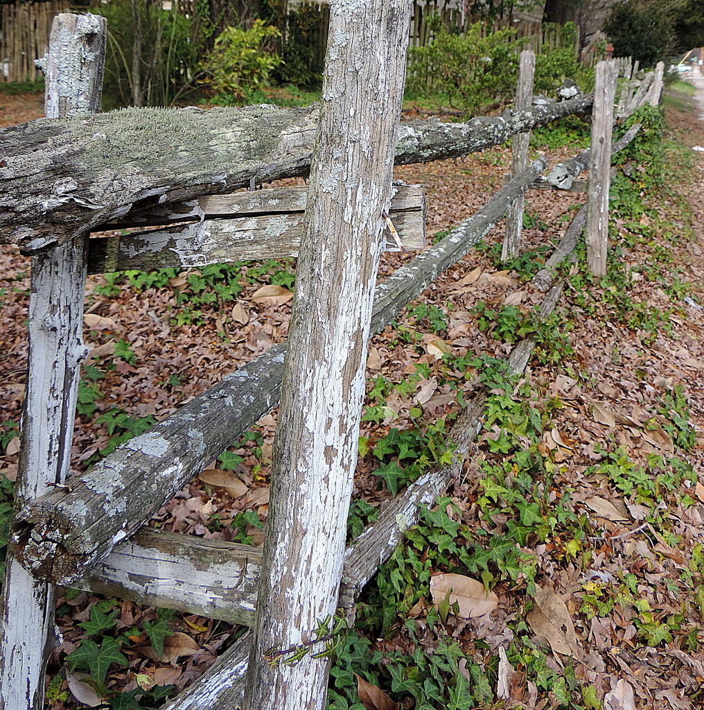 Country fence by homeschoolmom