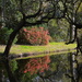 Azalea reflections, Charles Towne Landing State Historic Site, Charleston, SC by congaree