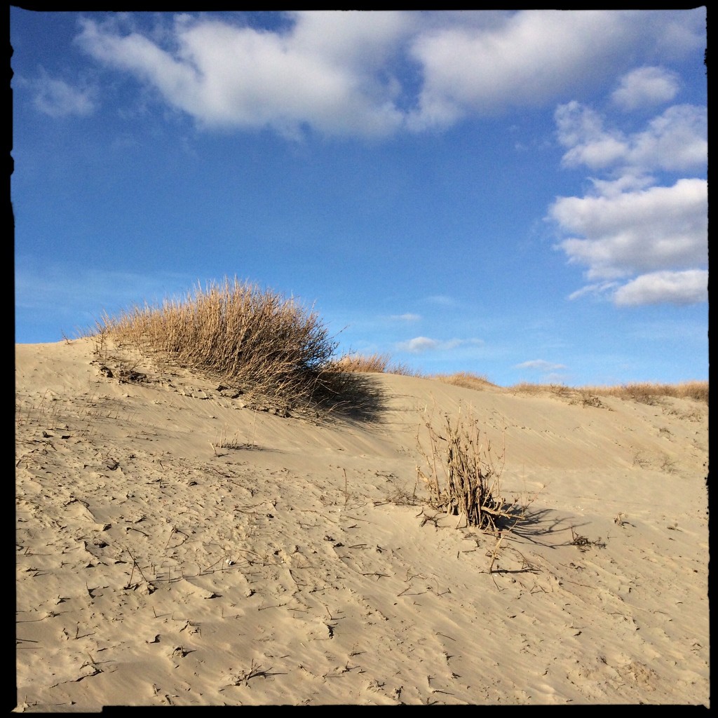 The Dune by mastermek