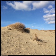 12th Mar 2016 - The Dune