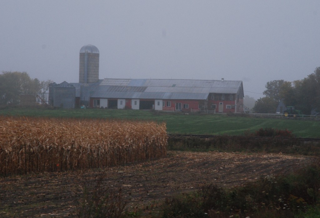 Foggy Farm by farmreporter