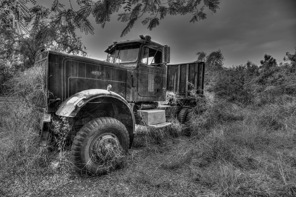 Overgrown Truck HDR B and W  by jgpittenger