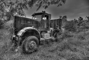 12th Mar 2016 - Overgrown Truck HDR B and W 