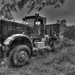 Overgrown Truck HDR B and W  by jgpittenger