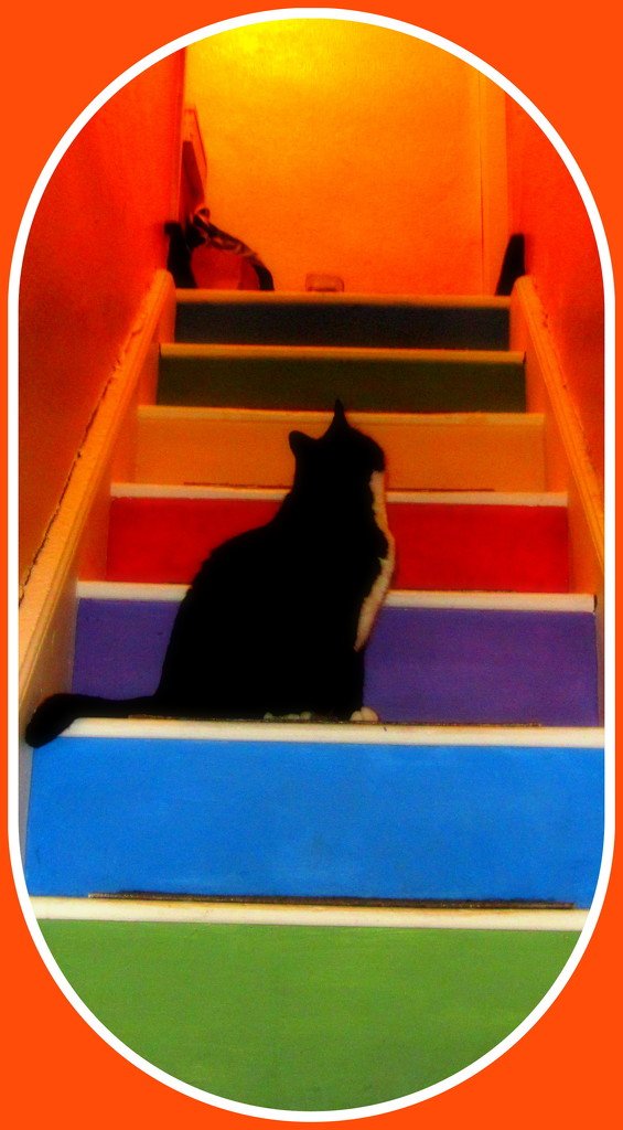 Arthur and the colourful stairs. by grace55