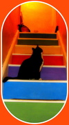 1st Jan 2016 - Arthur and the colourful stairs.