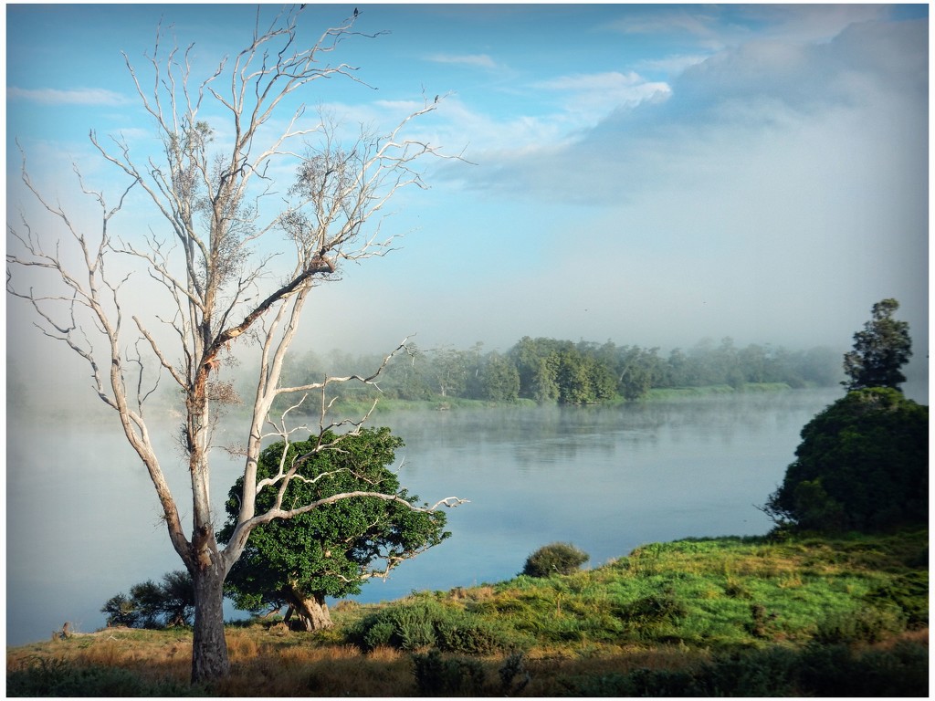 Mist over the Waikato by yorkshirekiwi