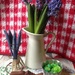 still life with hyacinths, fish, jello mold, and spring buttons by wiesnerbeth