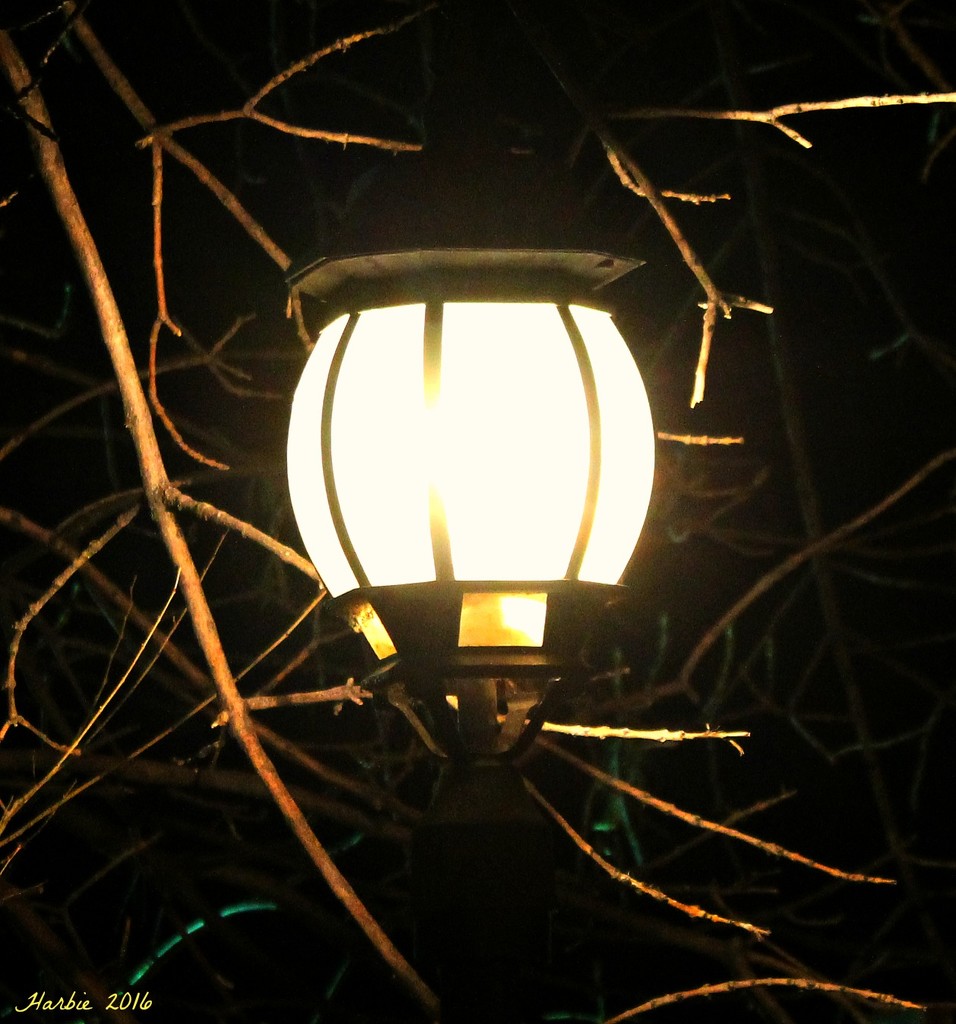 Lantern Glow II by harbie