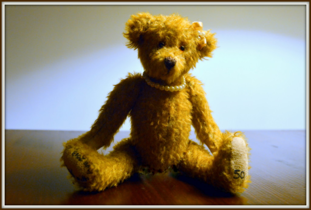 Little Ted by nickspicsnz