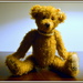 Little Ted by nickspicsnz