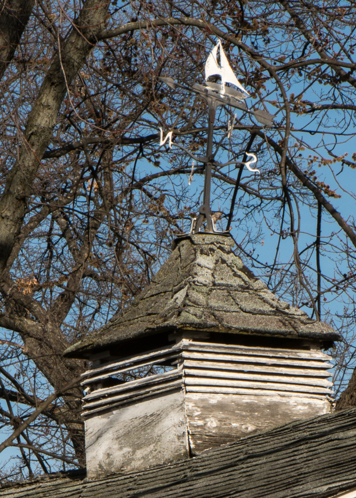 Weathered Weathervane by dridsdale