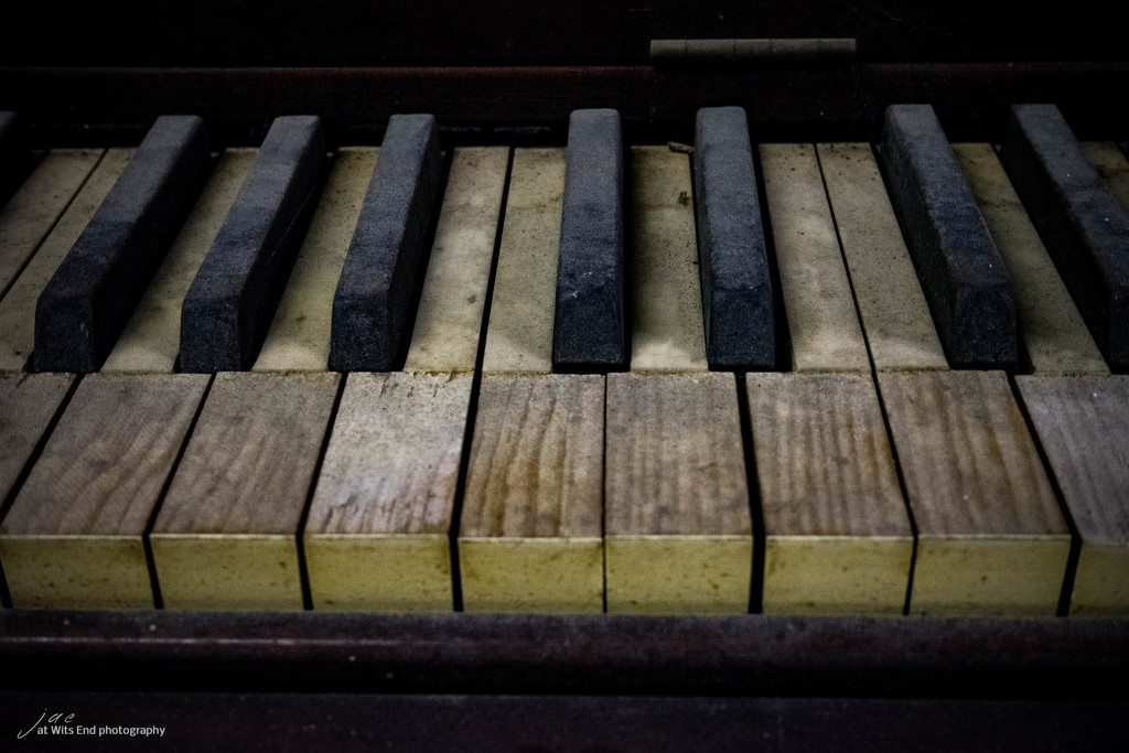 Player Piano by jae_at_wits_end