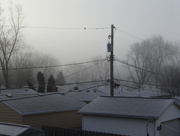 12th Mar 2016 - Rooflines and Freezing Fog + a bird