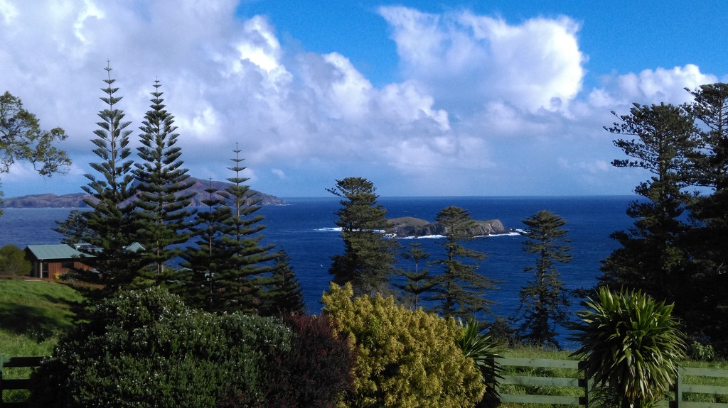 Room with a View. Norfolk Island by loey5150