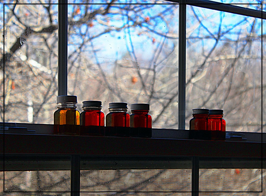 Maple Syrup Jars by olivetreeann