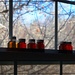 Maple Syrup Jars by olivetreeann