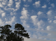 14th Mar 2016 - Clouds to daydream by as they drift overhead.