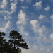 Clouds to daydream by as they drift overhead. by congaree