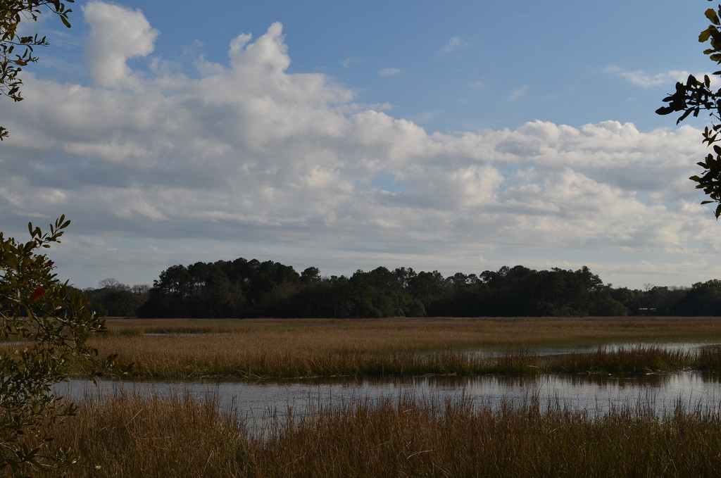 Sky and marsh, Charles Towne Landing State Historic Park, Charleston, SC by congaree