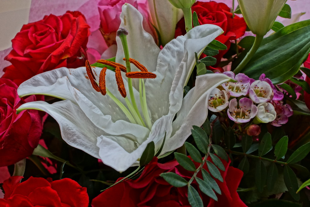Mother's Day flowers... by quietpurplehaze