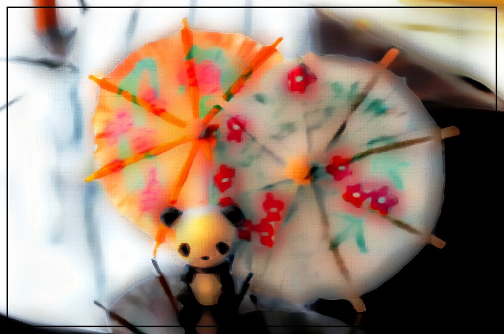 Umbrella by olivetreeann