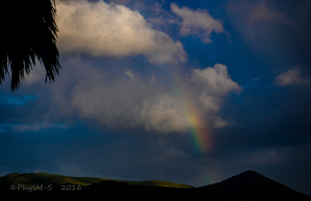 A Wee Rainbow (Goodbye Rain) by elatedpixie