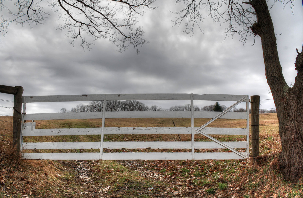 Country gate by mittens