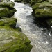 The Strid by fishers