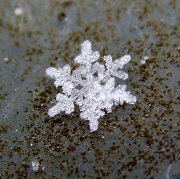 29th Nov 2010 - Snowflake