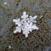Snowflake by berend