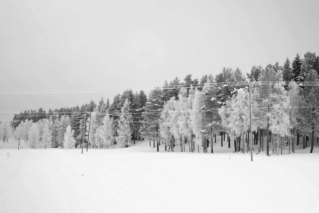 Monochromatic Finland. by darrenboyj
