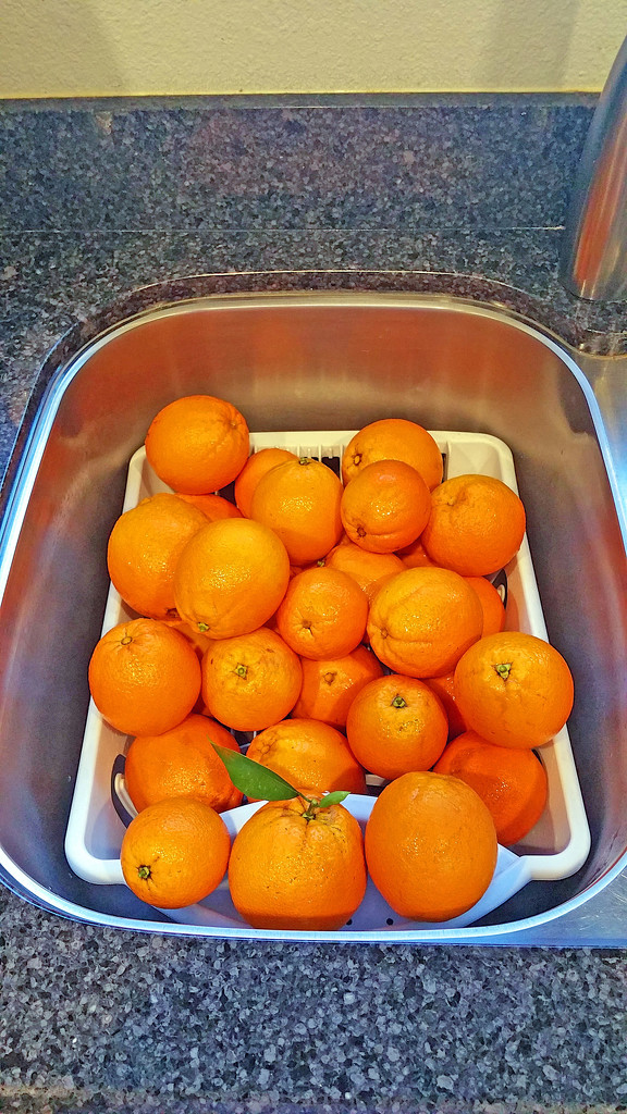 Yummy Oranges by mariaostrowski