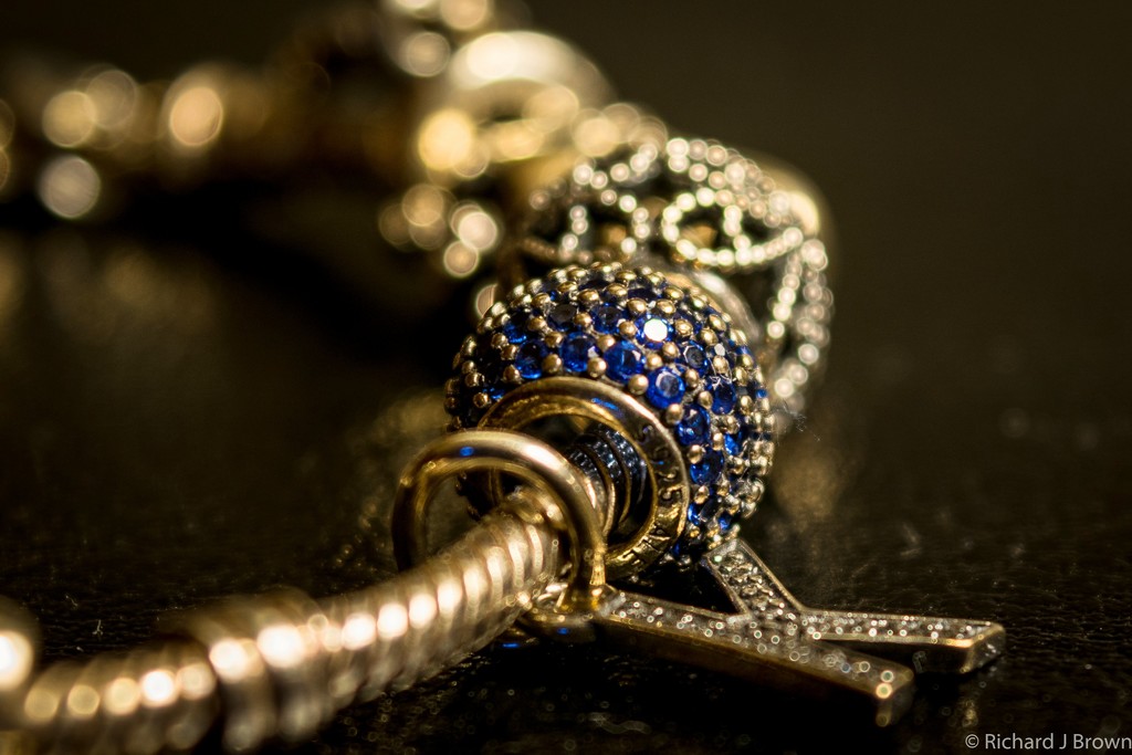 Charm Bracelet  by rjb71