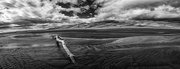15th Mar 2016 - Great Sand Dunes National Park Black and White