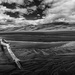 Great Sand Dunes National Park Black and White by exposure4u
